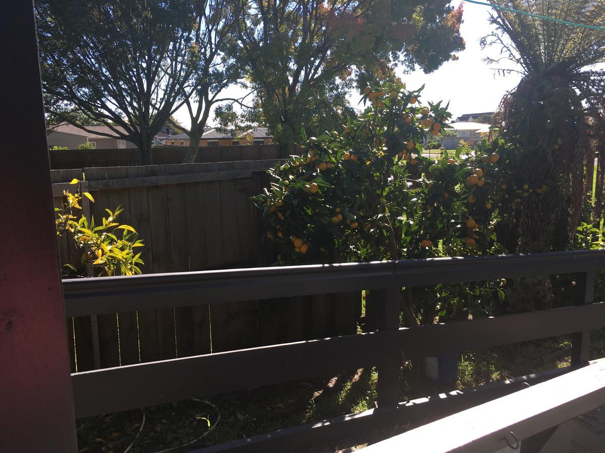 Agapantha Cottage Retreat 汉密尔顿 外观 照片